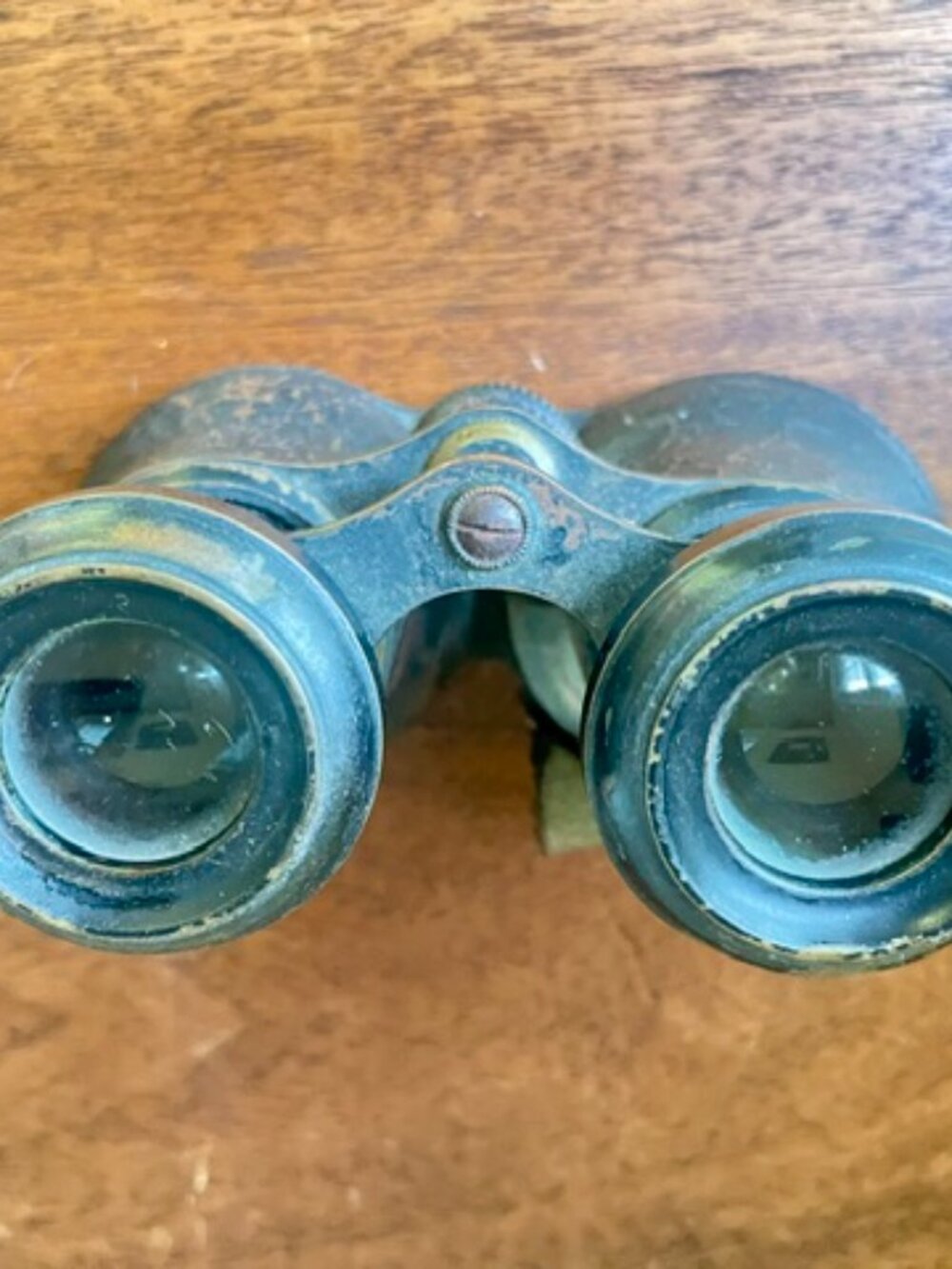 Antique Leather Wrapped Binocular & Leather Case